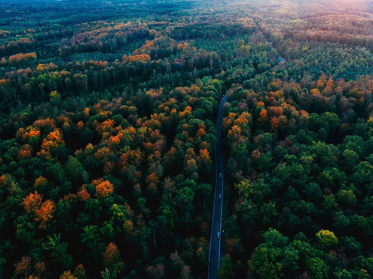 Exploring Germany: The Black Forest