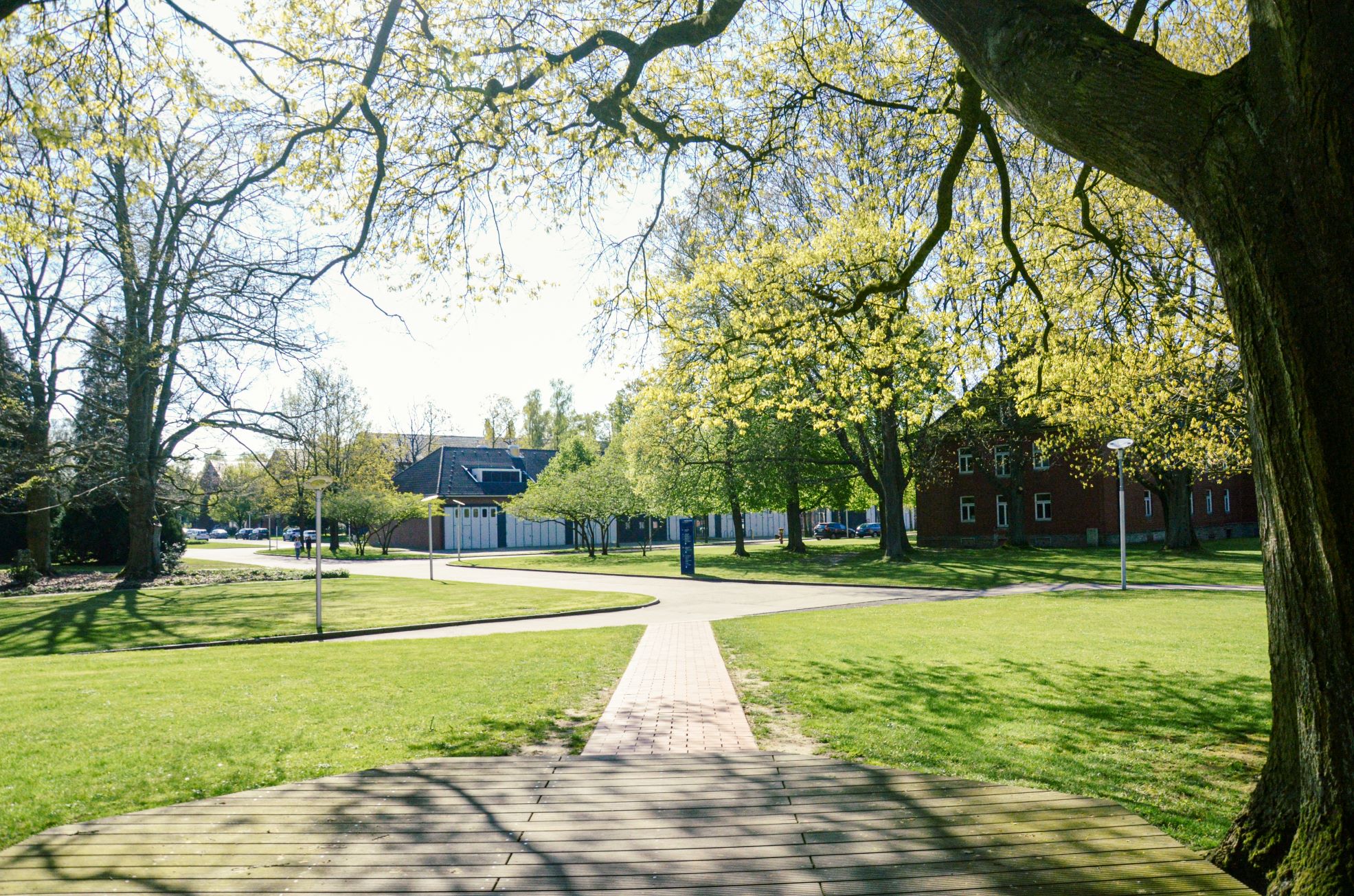 Campus of Constructor University