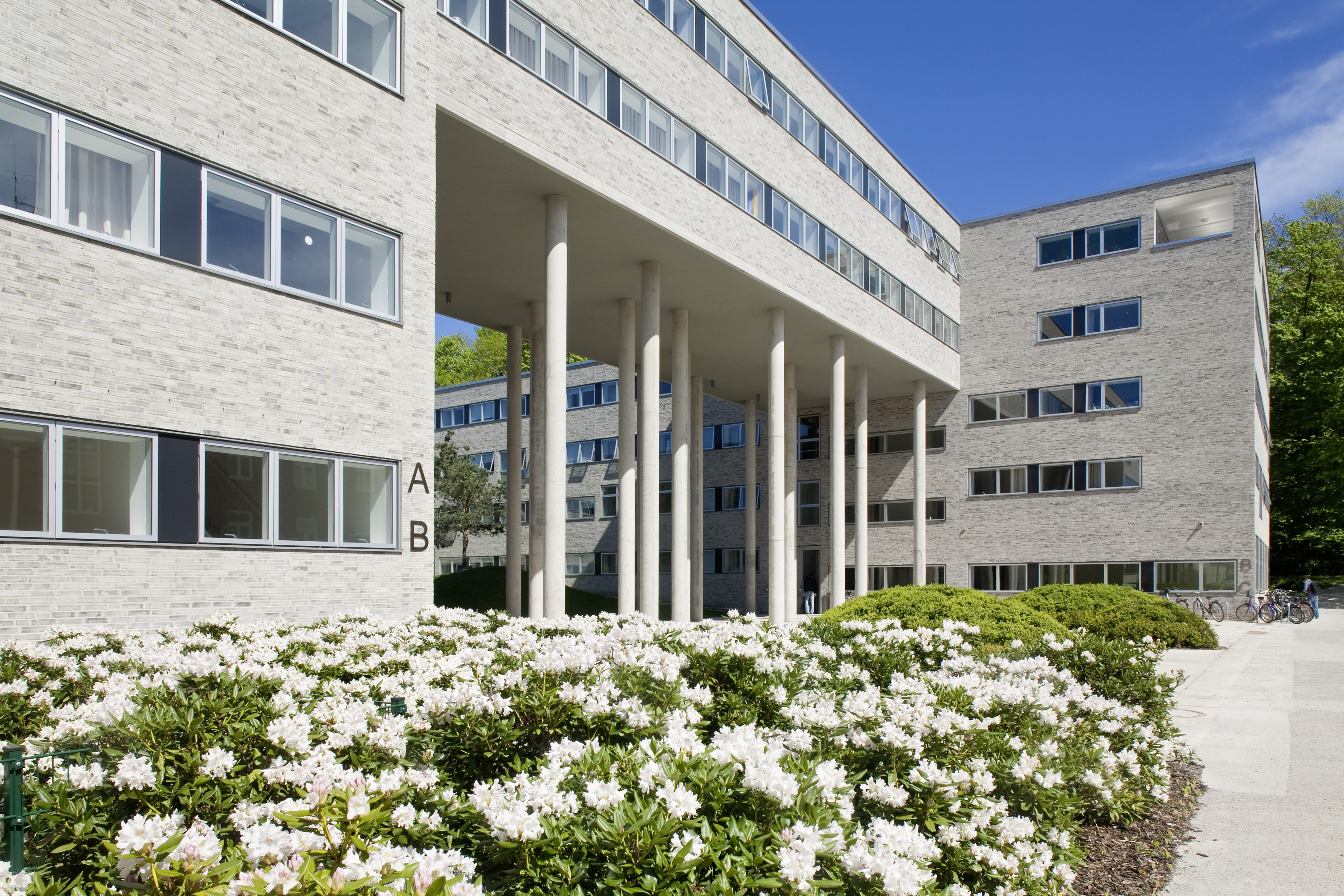 Campus of Constructor University