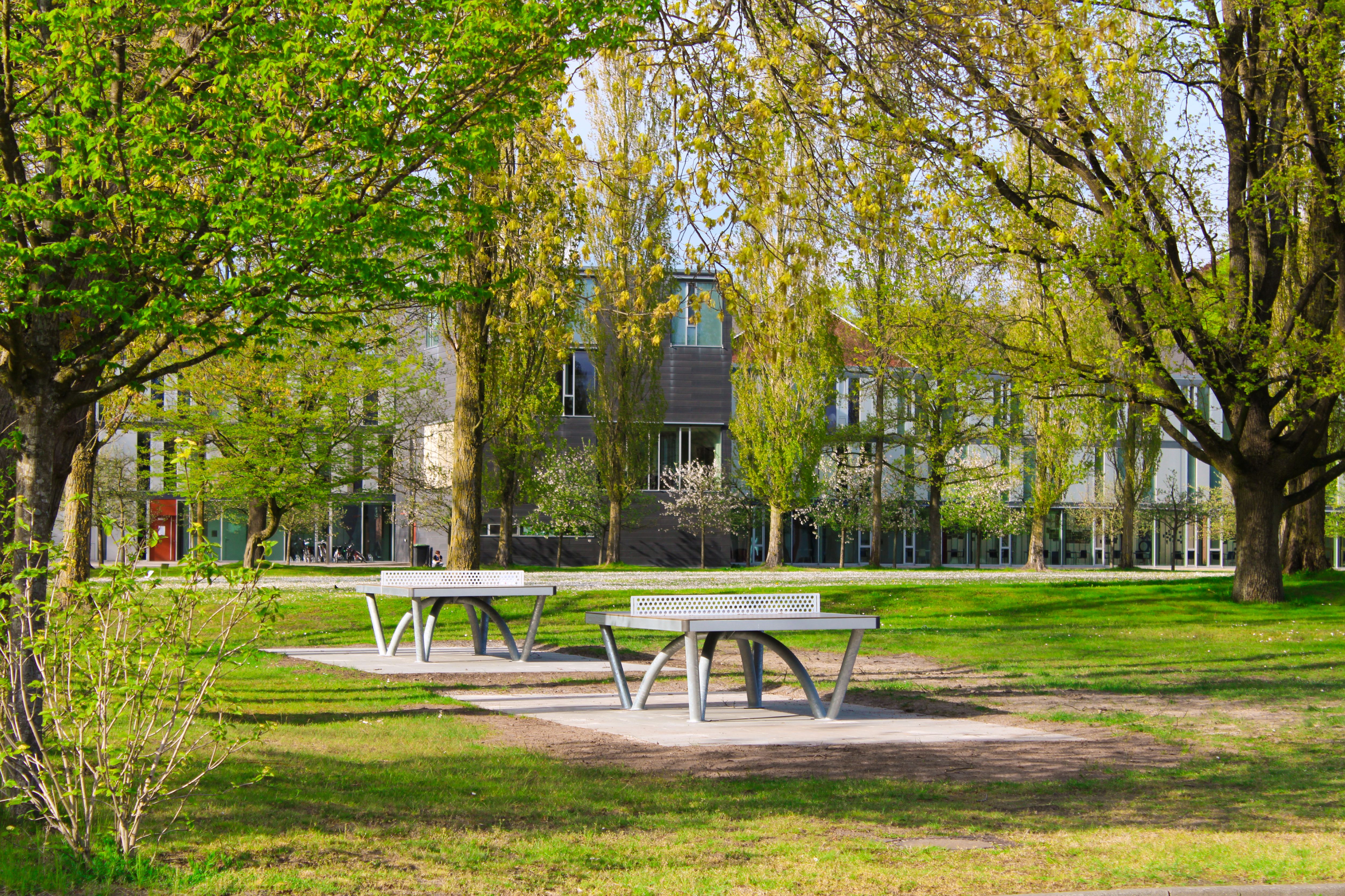 Campus of Constructor University