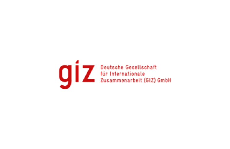 GIZ Logo