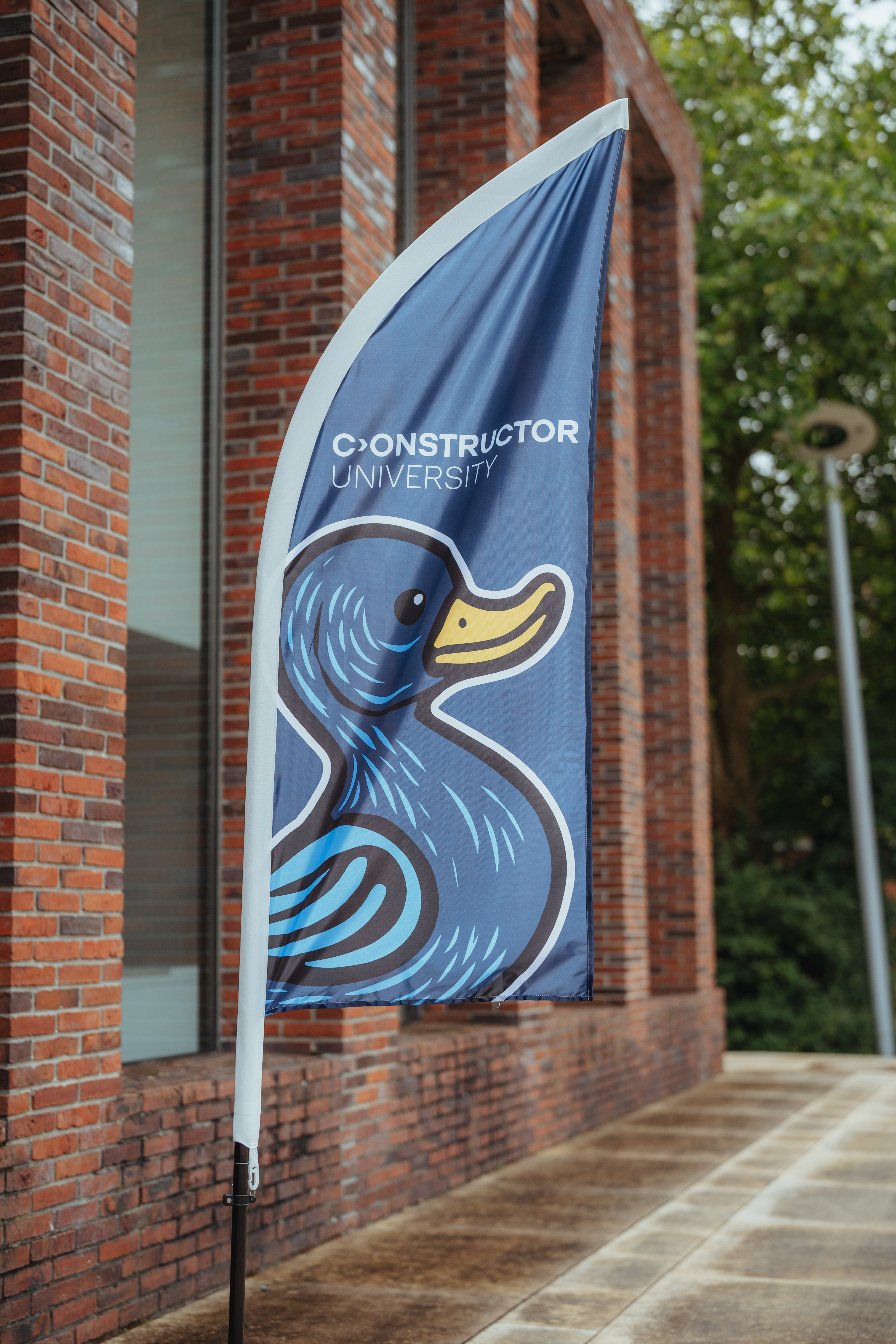 mascot of Constructor University