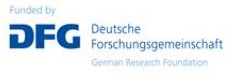 DFG