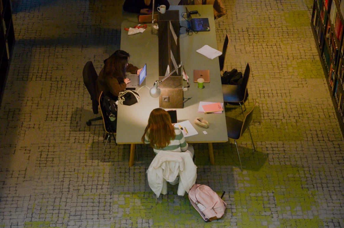 Students working in the library