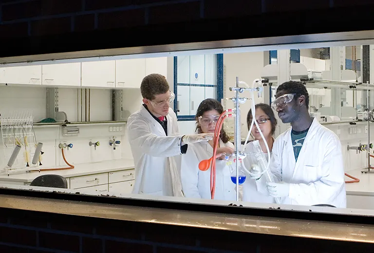Students in the laboratory