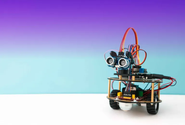 ROBOT MINTernational right