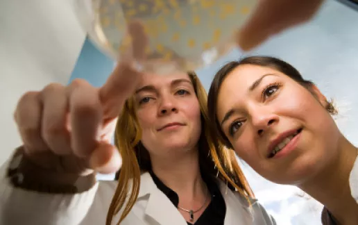 teaser corporate stipend program