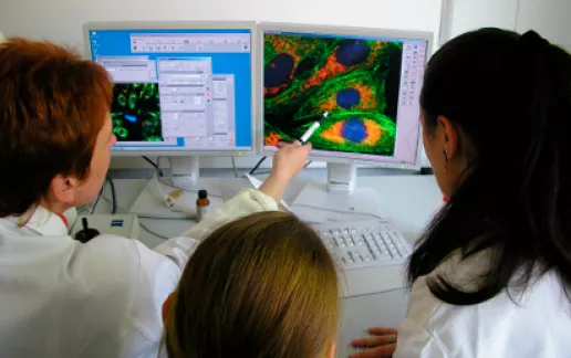 Stipends for women in Stem