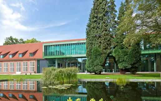 Constructor University