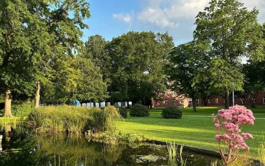 Study Computer Science in Germany