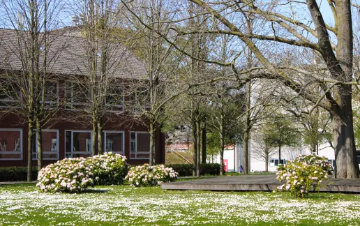 Campus of Constructor University