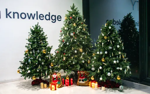 Winter in Constructor University