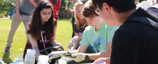 meermint summer 2023