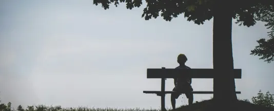 Interested individuals and research participants wanted: Overcoming loneliness together and promoting “planetary health” header image