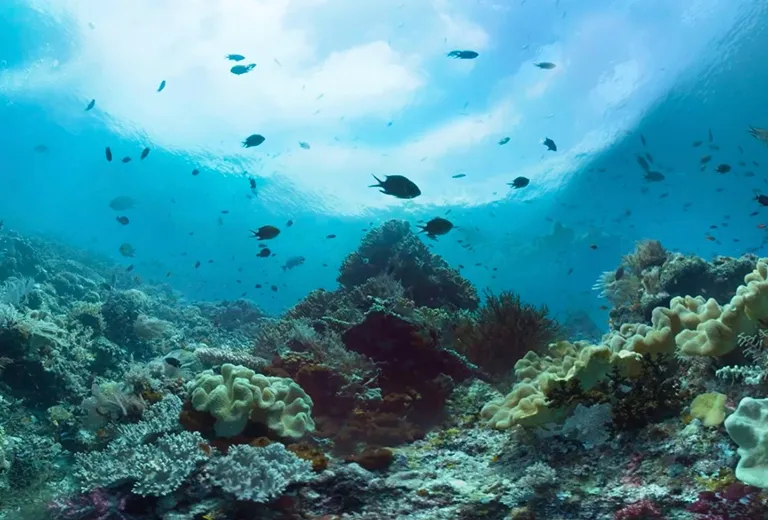 earth_sciences_and_sustainable_management_of_environmental_resources