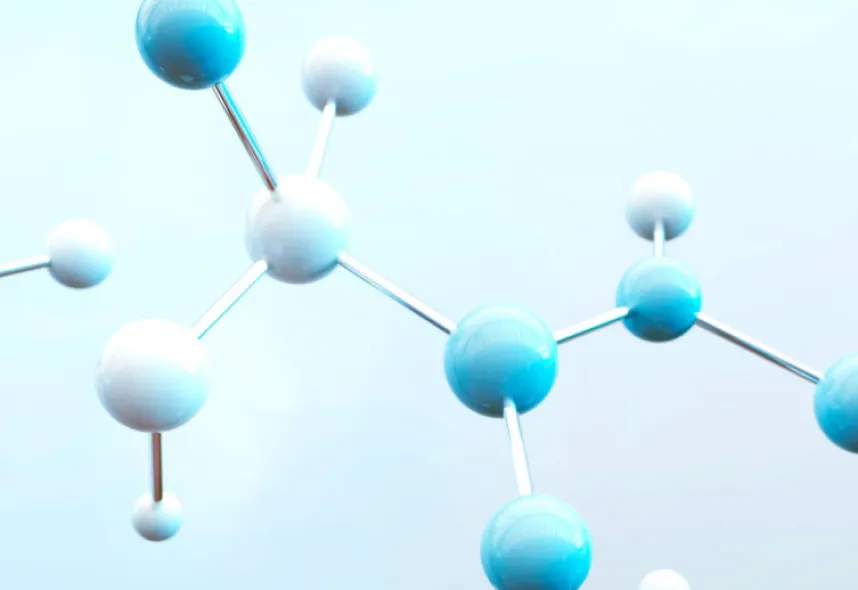 biophysics and didactics of physics