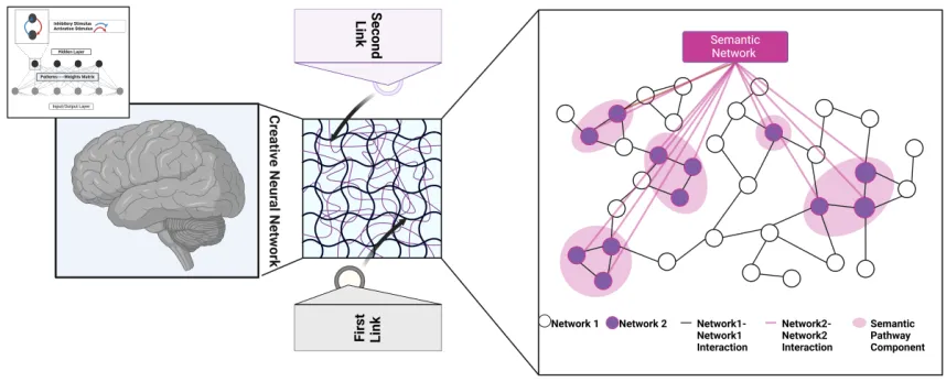 Constructor University researchers shed light on creative thinking in a new study