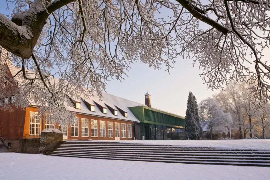 Constructor University