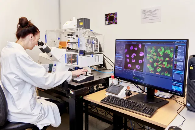 A professer working with a microscope